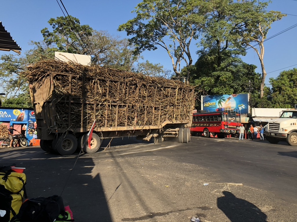 Transport-du-bambou