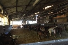 32 fabrique fromage de chèvres