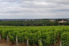 12 pouilly