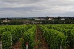 13 pouilly