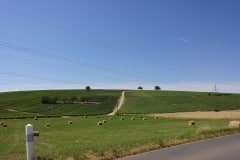 26 vignoble sancerre