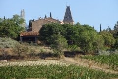7 village