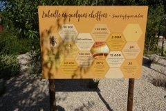 10 les abeilles