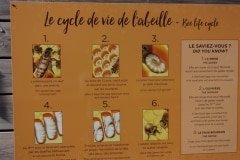 12 les abeilles