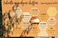 14 les abeilles