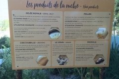 17 les abeilles