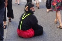 55 spectacle de rue