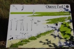 14 quelques espèces