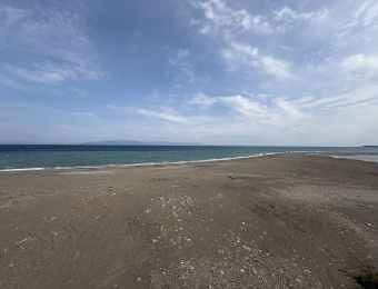 Le Pacifique