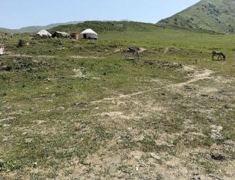 Habitations de montagne