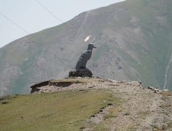 Sommet du col
