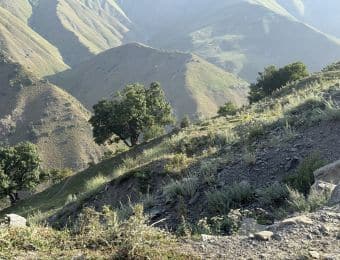 la montagne