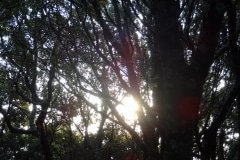 1 soleil du matin