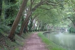 3 canal