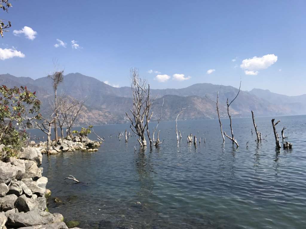 Le lac bien encombré
