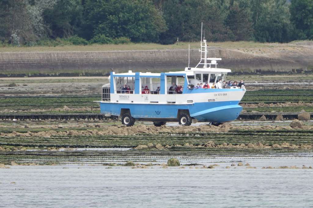 Barco adaptado para la isla de Tatihou: rueda y flota