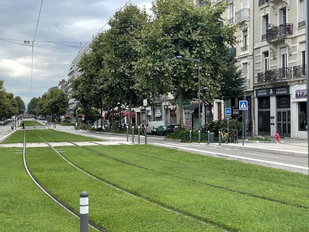 Grenoble y vegetación
