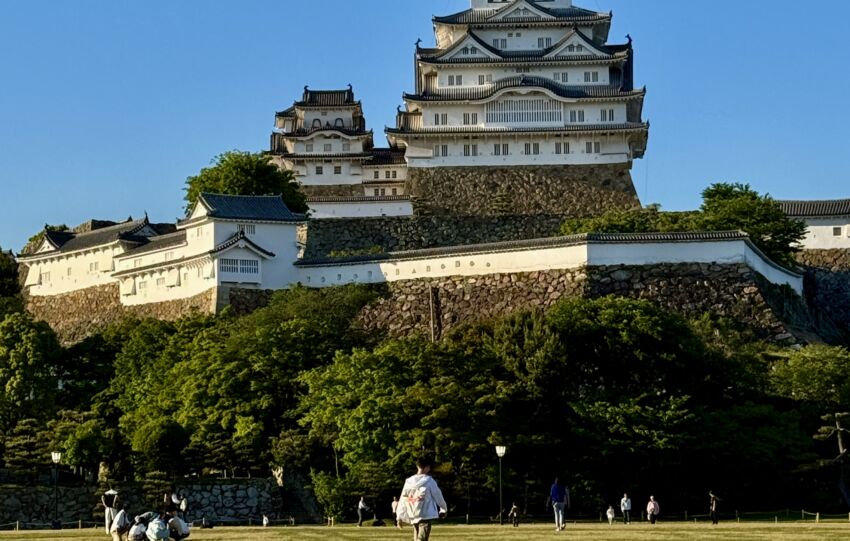 Héron Blanc château Himeji