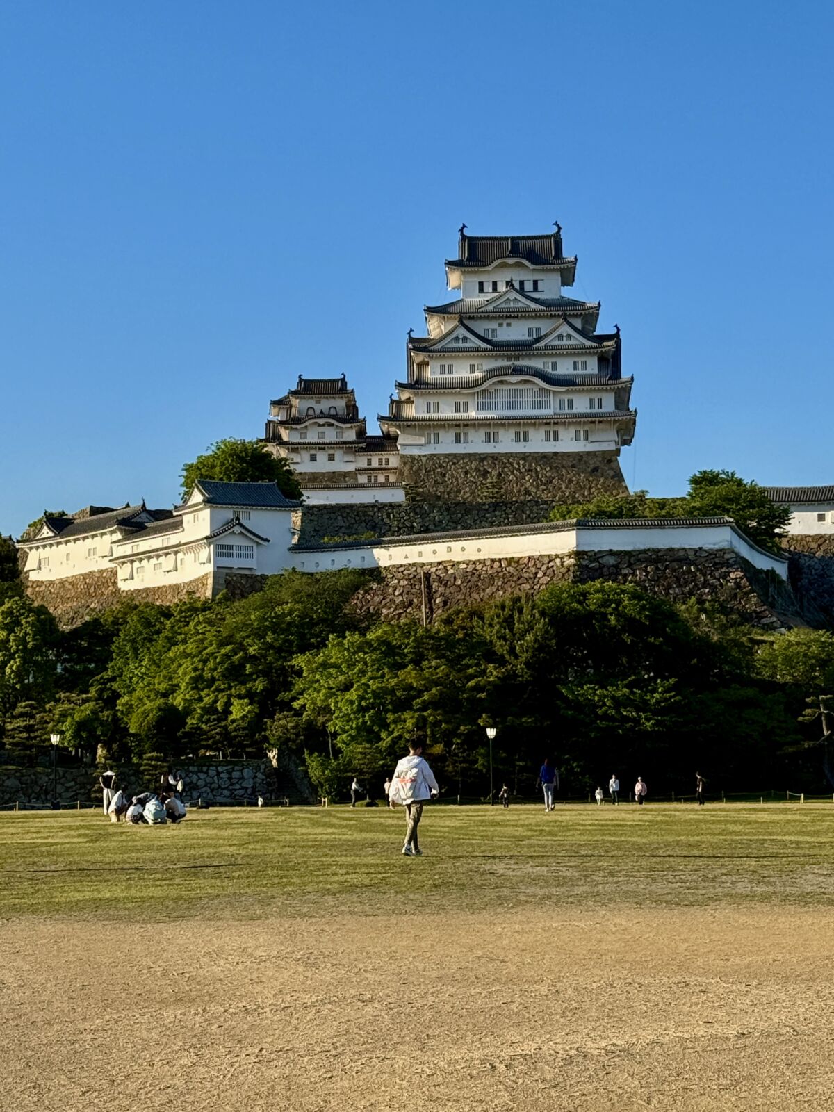 Héron Blanc château Himeji